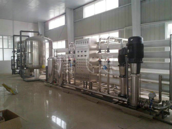 10T/H-2RO純水設備